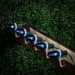 Blue Transparent C9 7 Watt Replacement Bulbs 25 Pack