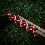 Red Transparent C9 7 Watt Replacement Bulbs 25 Pack