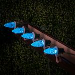 PeakPro Teal C9 LED Replacement Bulbs 25 Pack 