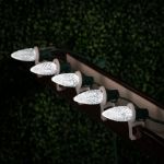 PeakPro Pure White C9 LED Replacement Bulbs 25 Pack 
