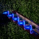 Blue C9 LED Plastic Filament Replacement Bulbs 25 Pack 