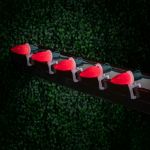 C9 - Red - Ceramic (plastic) LED Replacement Bulbs - 25 Pack