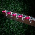 5 Pack Pink Smooth Glass C9 LED Bulbs