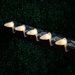 C9 - Warm White - Ceramic (plastic) LED Replacement Bulbs - 25 Pack