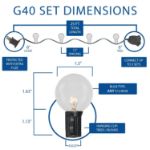 25 G40 Globe String Light Set with Clear Bulbs on Black Wire