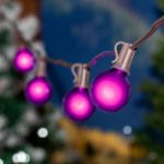 25 G40 Globe String Light Set with Purple Satin Bulbs on Brown Wire
