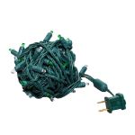 Commercial Grade Wide Angle 50 LED Green/Pure White White 25' Long on Green Wire