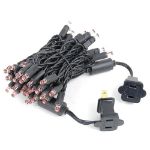 50 LED Pink LED Christmas Lights 11' Long on Black Wire