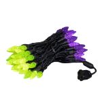*NEW* True Twinkle Purple/Lime 70 LED C6 Strawberry Mini Lights Commercial Grade on Black Wire
