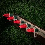 *Minleon* Red C9 LED Replacement Bulbs 25 Pack 