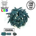 Coaxial 100 LED Warm White 6" Spacing Green Wire