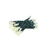 Coaxial Warm White 70 LED C6 Strawberry Mini Lights Commercial Grade on Green Wire