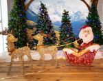 Pre-Lit Warm White 33.5 in. Santa & Reindeer Decoration