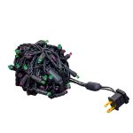 Commercial Grade Wide Angle 50 LED Purple/Lime 25' Long on Black Wire