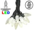 25 Warm White LED C9 Pre-Lamped String Lights Black Wire
