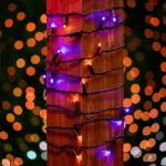 *NEW* TrueTwinkle® LED Mini Lights 50 LED Purple & Orange 25' Long Black Wire