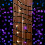 Commercial Grade Wide Angle 50 LED Purple/Pure White 25' Long on Green Wire
