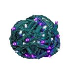Commercial Grade Wide Angle 50 LED Purple/Pure White 25' Long on Green Wire