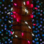 Pink and Pure White 70 LED C6 Strawberry Mini Lights Commercial Grade Green Wire