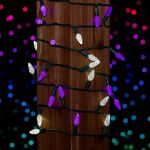 Purple and Pure White 70 LED C6 Strawberry Mini Lights Commercial Grade Green Wire