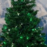 Commercial Grade Wide Angle 50 LED Green/Pure White White 25' Long on Green Wire