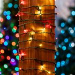 Commercial Grade Wide Angle 50 LED Red/Warm White 25' Long on Green Wire
