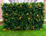 Yellow LED Net Lights 4x6 Green Wire