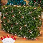 Red LED Net Lights, White Wire 4x6
