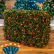 Amber/Orange LED Net Lights 4x6 Green Wire