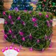 Pink LED Net Lights, White Wire 4x6