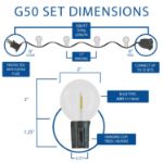 67 LED Filament G50 Globe String Light Set with Warm White Bulbs on Black Wire