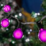 25 G40 Globe String Light Set with Purple Satin Bulbs on Black Wire
