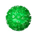 50 Green LED 6" Sphere