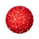 100 Red LED 7.5" Sphere