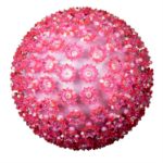 150 Pink LED 10" Sphere