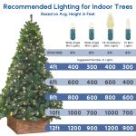 Commercial Grade Wide Angle 100 LED Warm White 50' Long on Green Wire