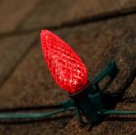 NL Select Red C9 LED Replacement Bulbs 25 Pack