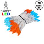 Teal and Orange 70 LED C6 Strawberry Mini Lights Commercial Grade on White Wire
