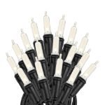 70 Light Traditional T5 Warm White LED Mini Lights Black Wire
