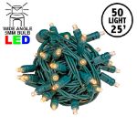 Commercial Grade Wide Angle 50 LED Sun Warm White 25' Long on Green Wire