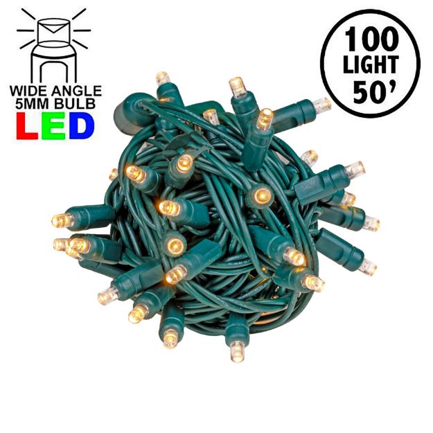 Commercial Grade Wide Angle 100 LED Sun Warm White 50' Long on Green Wire