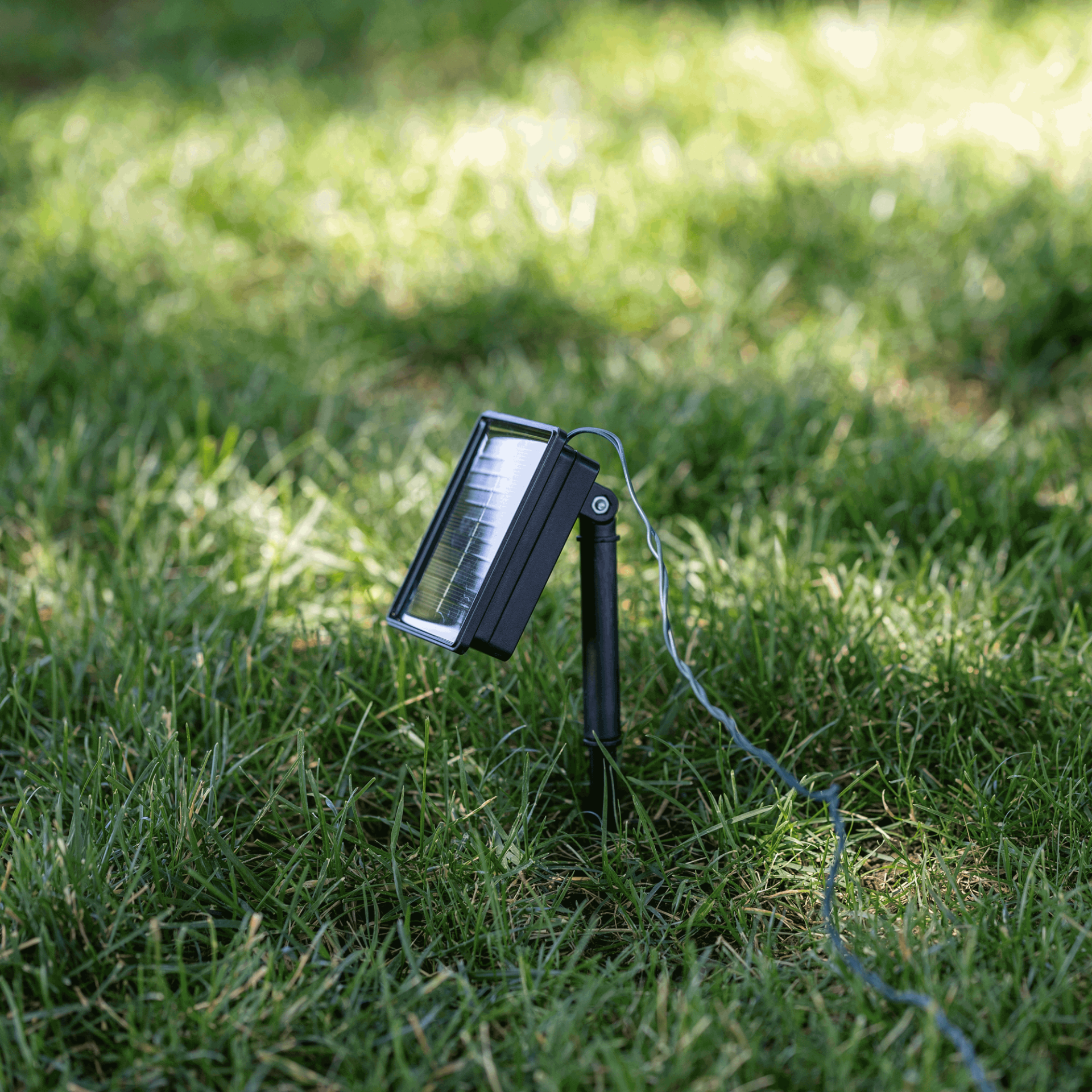 Pure White LED Solar Powered Lights 50 Light String 3" Spacing Green Wire