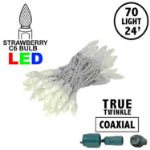 Coaxial *NEW* TrueTwinkle® Warm White 70 LED C6 Strawberry Mini Lights Commercial Grade on White Wire