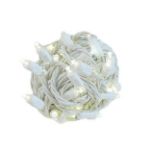 *NEW* TrueTwinkle® LED Christmas Lights 50 LED Warm White 25' Long White Wire