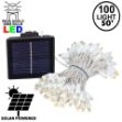 Warm White LED Solar Powered Lights 100 Light String 6" Spacing White Wire