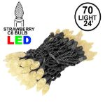 Warm White 70 LED C6 Strawberry Mini Lights Commercial Grade Black Wire