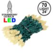 Warm White 70 LED C6 Strawberry Mini Lights Commercial Grade on Green Wire