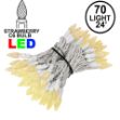 Warm White 70 LED C6 Strawberry Mini Lights Commercial Grade on White Wire
