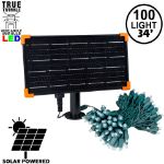 *NEW* TrueTwinkle® Pure White LED Solar Mini Lights 100 Light String 4" Spacing Green Wire