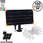 *NEW* TrueTwinkle® Pure White LED Solar Mini Lights 100 Light String 4" Spacing White Wire